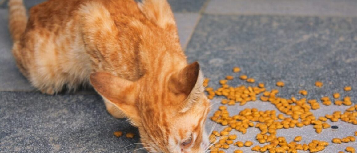 Jak zachęcić niejadka do jedzenia - kreatywne sposoby na posiłki